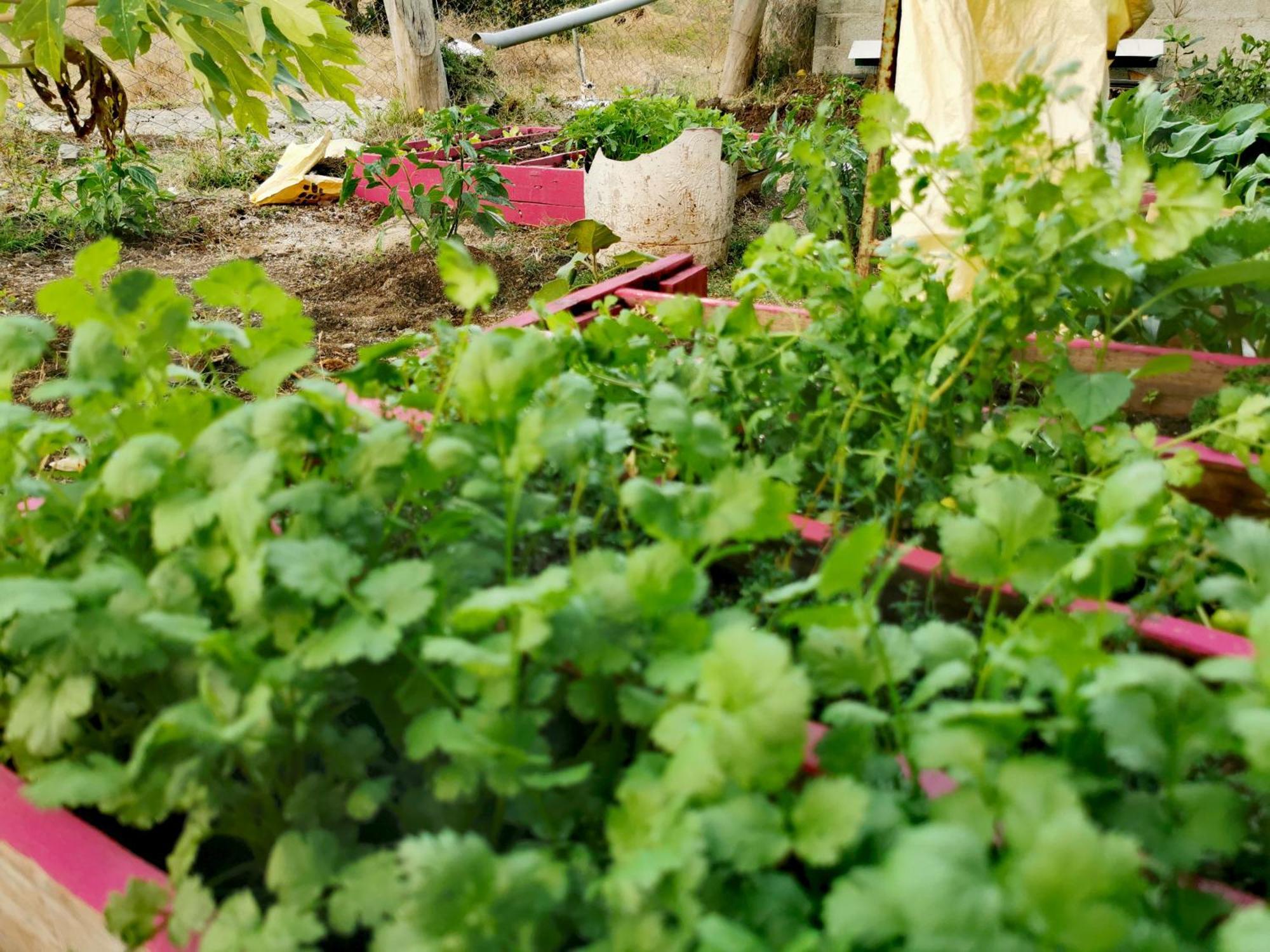 Panoramic Paradise La Ferme 외부 사진